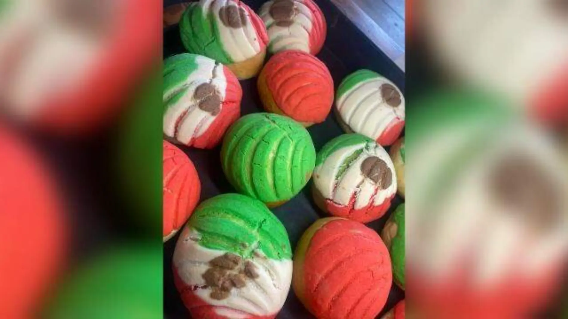 conchas tricolorok